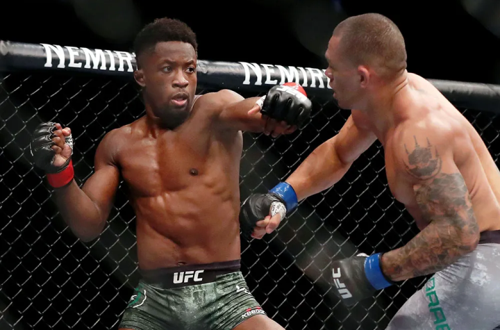 Your Ultimate Guide to Catching UFC Action Live on Reddit