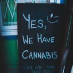 cannabis business FDA approval